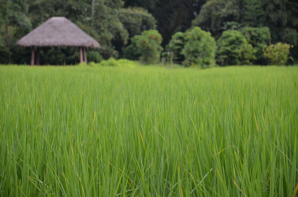 Pa Sak Tong Hotel Chiang Rai Exterior photo